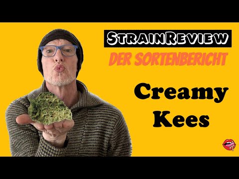 Der medizinische Sortenbericht - Creamy Kees No.5