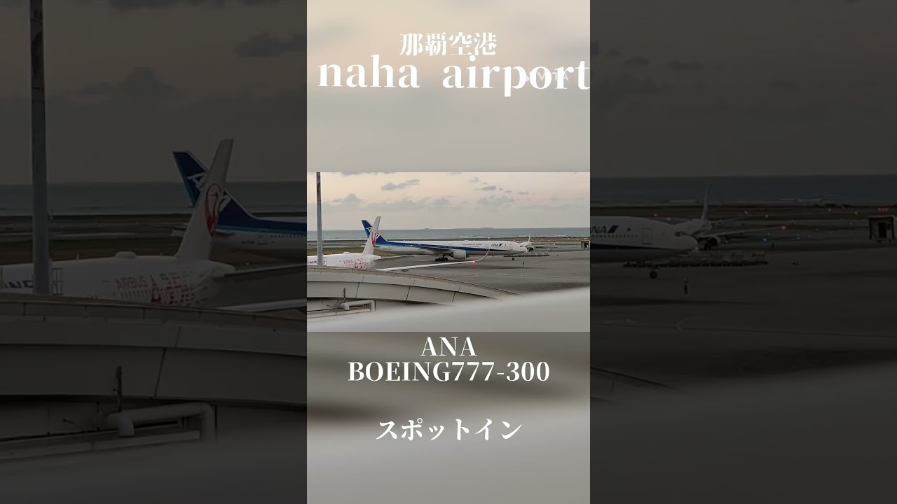 那覇空港は飛行機が多すぎてどれがどれのエンジン音か聞き取りにくい　だけど那覇空港好き♥