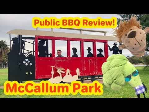 Sizzling at McCallum Park: A Hidden Public BBQ Treasure!