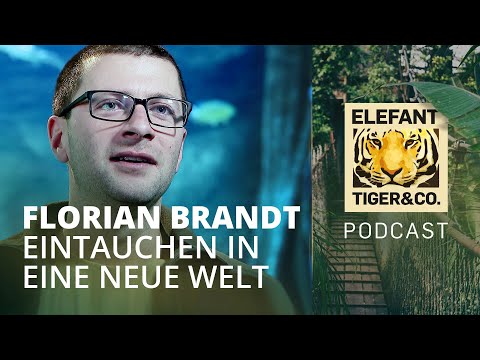 ETC der Podcast – Folge 18: Eintauchen in eine neue Welt - mit Florian Brandt