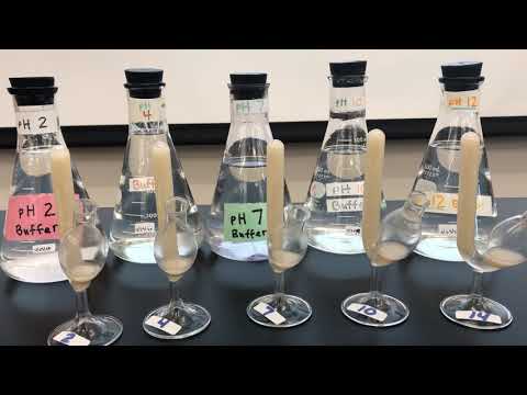 BI 112 Lab 5 pH Result- 5 minutes