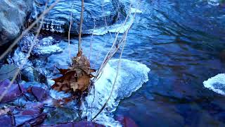 Music video thumbnail preview for Ice Clinging to Wind-Stripped Branches by Robes of Snow