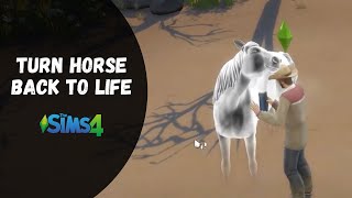 How to Turn Horse Back to Life (Cheat) - The Sims 4