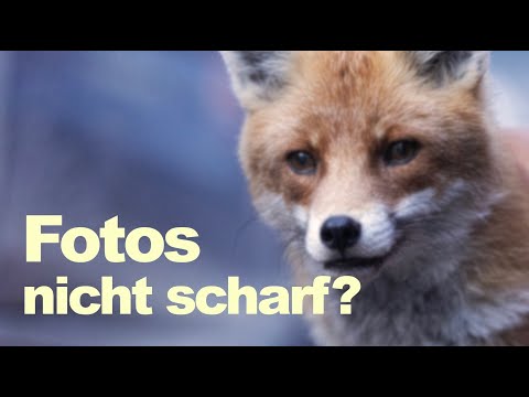 Blurry photos? Here's the reason! Learn photography