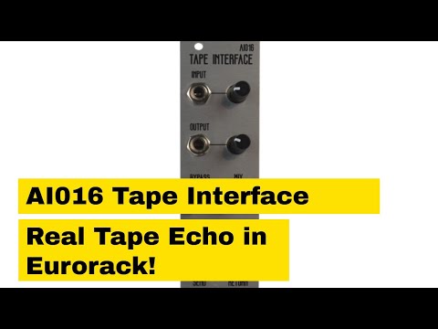 AI Synthesis AI016 Eurorack Tape Echo Interface Built and Tested Black image 2