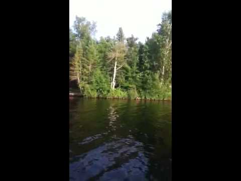 Minnesotan lil' bass on bomber crank