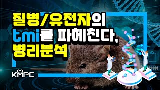 질병 분석, 유전자 해석의 가장 기본인 병리분석에 대해 알아보자