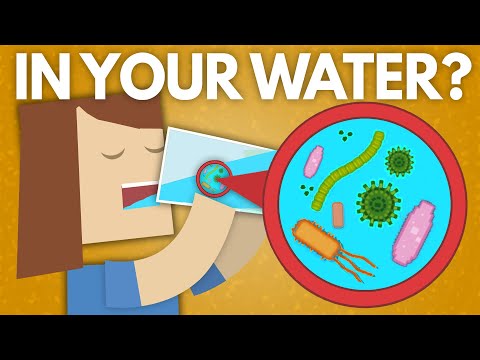 你不知道你在喝的那些小生物 (The Tiny Creatures You Didn't Know You Were Drinking)