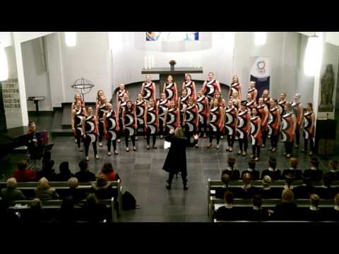 KYN - Outo kantele (Jukka Linkola)