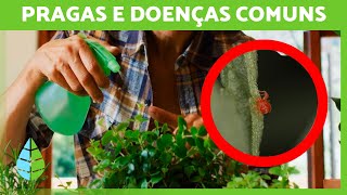 Miniatura do vídeo