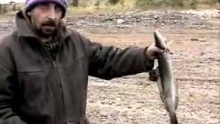 Диалоги о рыбалке в красноярский край