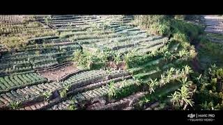 Download lagu DJI Mavic Pro - Around Cibodas mp3