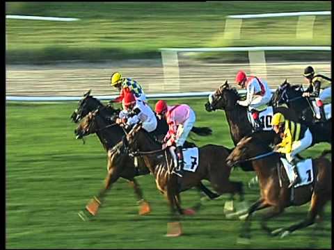 Galoppo 06/04/2016 - 7° corsa