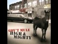 Gov't Mule - Million Miles From Yesterday.wmv