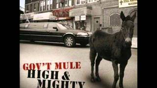 Gov't Mule - Million Miles From Yesterday.wmv