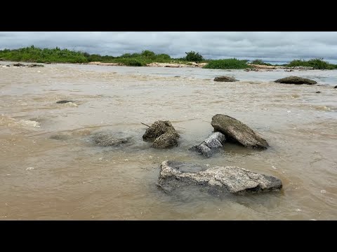 Chegada das águas do Açude Castanhão no Alagamar Jaguaretama  (30/03/2024) Ceará