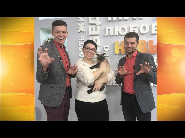 Выпуск программы «Новый день» за 30 января 2019