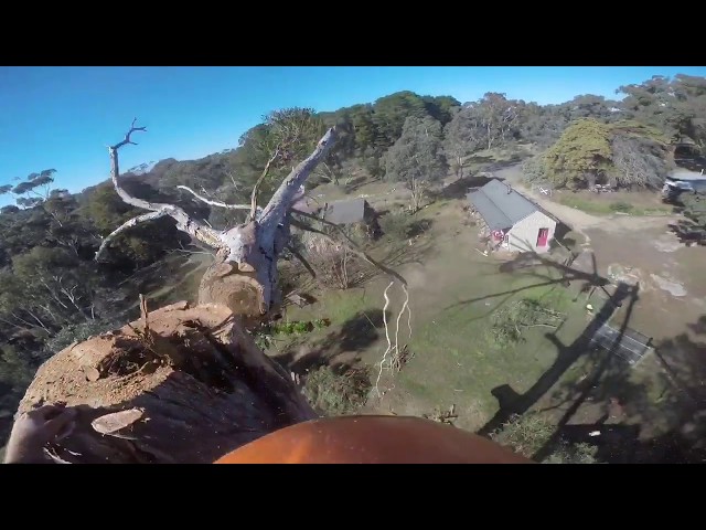 Gravity Tree Worx - Nerrina, VIC