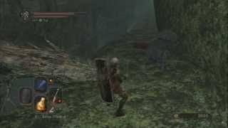 Dark Souls II - Unpetrify Lion Warrior w Fragrant Branch of Yore, Acquire Fang Key (Frees Ornifex)