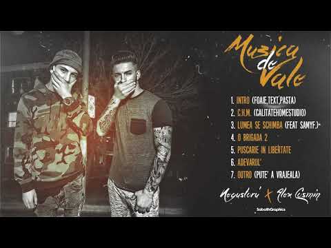 HiddenSick X Negustoru' - Outro ( Pute a vrajeala )