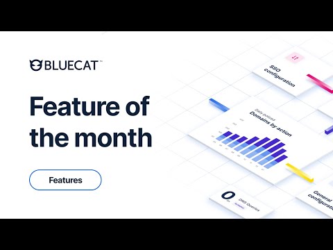 Care Portal | Feature of The Month | February 2025