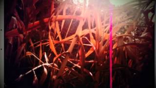 Rhye - One of Those Summer Days