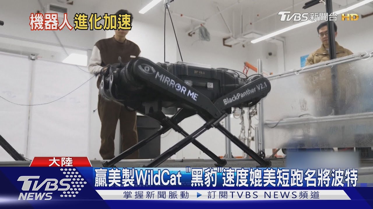 1秒跑10公尺 陸製全球最快機器狗「黑豹」亮相