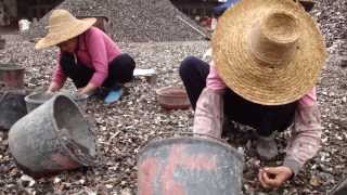 Junkyard Planet: Travels in the Billion-Dollar Trash Trade by Adam Minter