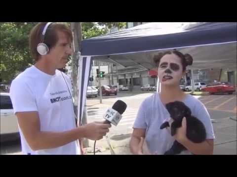 Adoção de animais em Tubarão