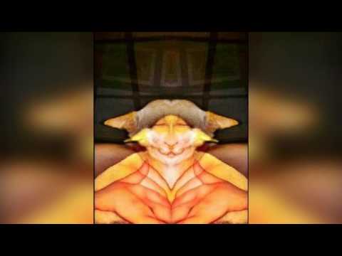 All in together- Skyzoo- Produced by black Milk