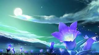 Quien pierde mas bronco