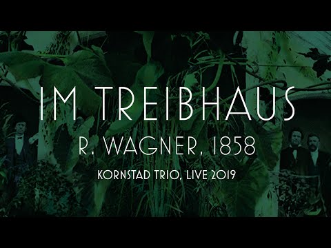 Håkon Kornstad Trio – "Im Treibhaus" (R. Wagner), Live (2019)