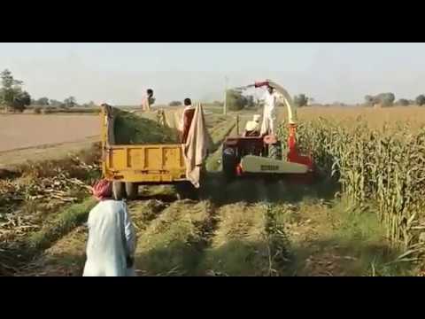 download lagu mp3 mp4 Cumloader, download lagu Cumloader gratis, unduh video klip Cumloader