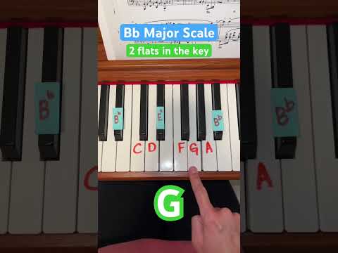 How to Play: Bb Major Scale on the Piano! 🎹🎶 #fypage #fyp #fypviral #fypシ゚viral
