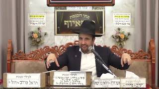 הרב מאיר אליהו | פרשת בשלח -  שבת שירה | מוסאיוף (בית הכנסת מוסאיוף - ערוץ חדש) - התמונה מוצגת ישירות מתוך אתר האינטרנט יוטיוב. זכויות היוצרים בתמונה שייכות ליוצרה. קישור קרדיט למקור התוכן נמצא בתוך דף הסרטון