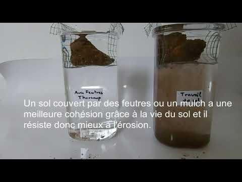 Stabilité de structure du sol avec les feutres Thorenap Vigne