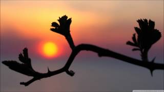 ♪♫Anry - Serene Sky (Original Mix)♪♫