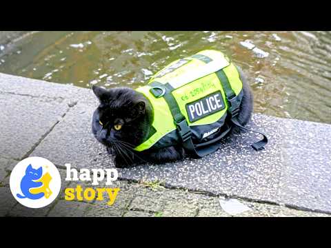 Paw Patrol? The Cutest Police Officer in the World