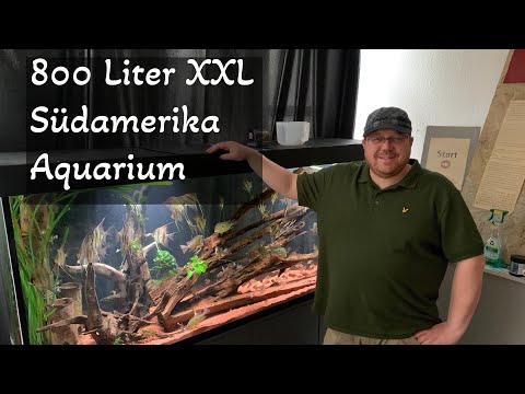 800 Liter XXL Biotop Aquarium