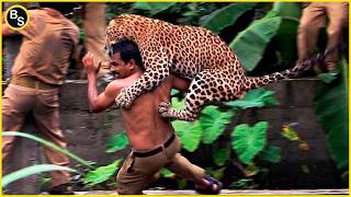 Damn Nature You Scary | Rare and Scary Animal Encounters