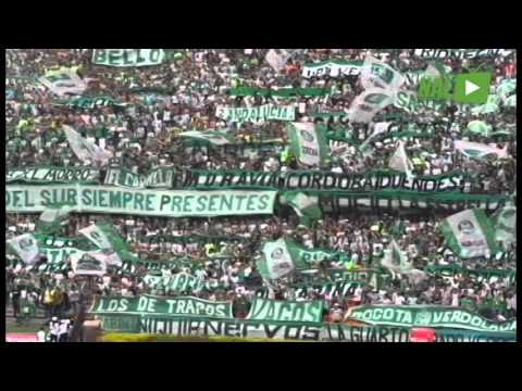 "HINCHADA VERDOLAGA ANTE ENVIGADO" Barra: Los del Sur • Club: Atlético Nacional