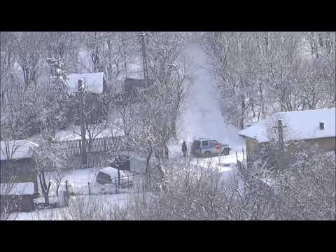 Aricestii Zeletin [Ianuarie 2019]