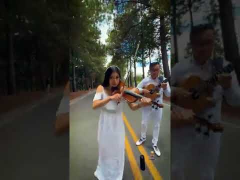 Excelente sábado 🇮🇪