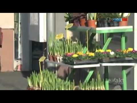 Alt und arm   Wenn die Rente nicht zum Leben reicht   06 03 2013  MDR Fernsehen
