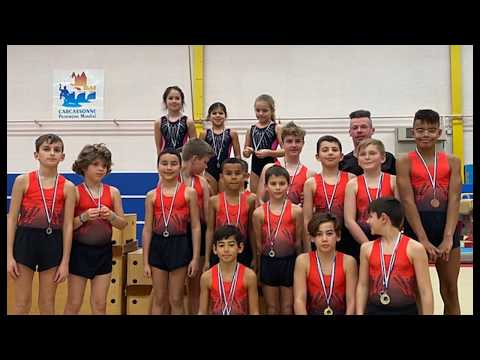 Coach Henri Mauriès Champion Performance FFGYM GAM & GAF departmental level