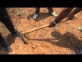 Agriculture soil sample - V method