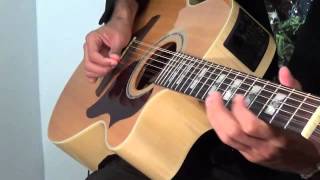 Pachelbels Canon in D Acoustic 12-String Guitar Performance