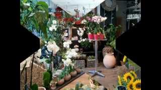 preview picture of video 'Visite Boutique Fleuriste Atelier de Créations florales Rose Rouge Valbonne Sophia Antipolis'