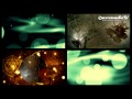 Emma Hewitt - Crucify (Clinton VanSciver Remix ...