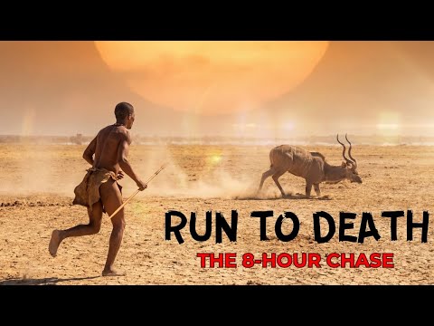 Man vs. Beast: The 8-Hour Chase in the Kalahari